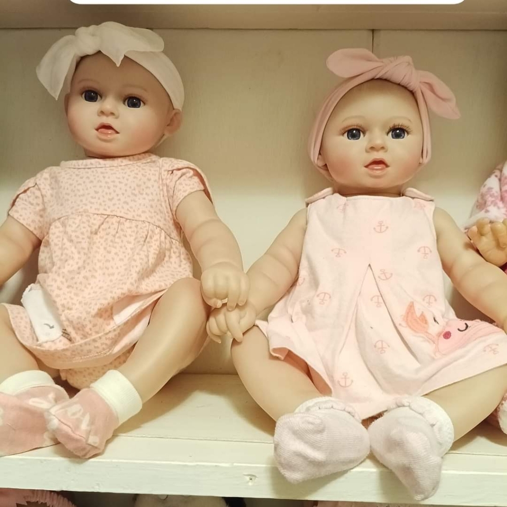 Reborn twins